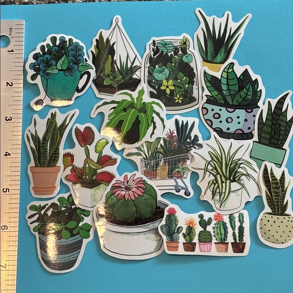 15pc Succulent Vinyl Stickers Plants Cactus- Waterproof Crafts Water Bottles Fun